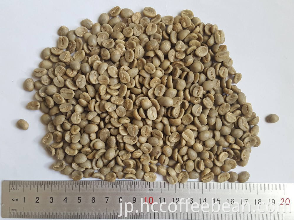 中国のアラビカグリーンコーヒー豆、洗浄、研磨グレードaa 17 up